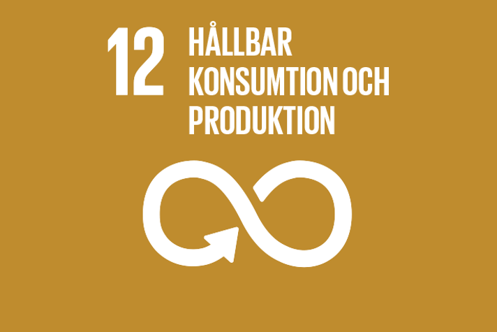 Agenda 2030 Mal 12